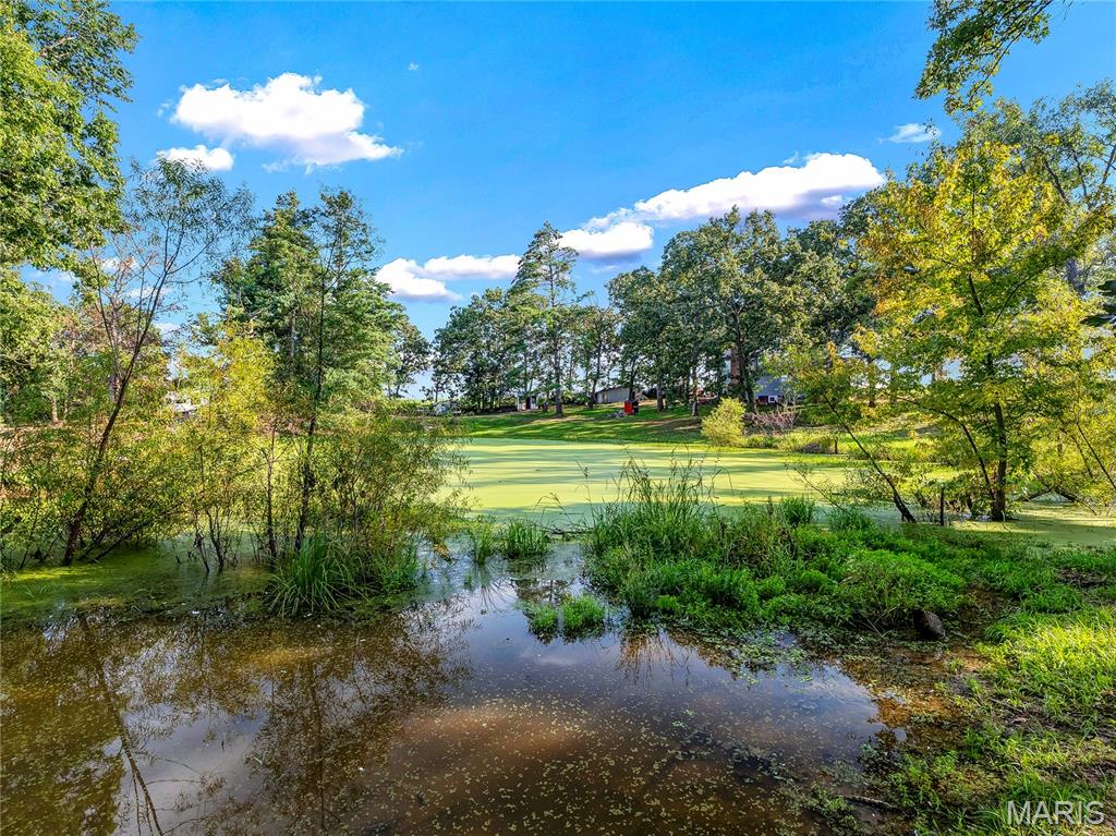 1838 Spring Bluff Road Property Photo 31