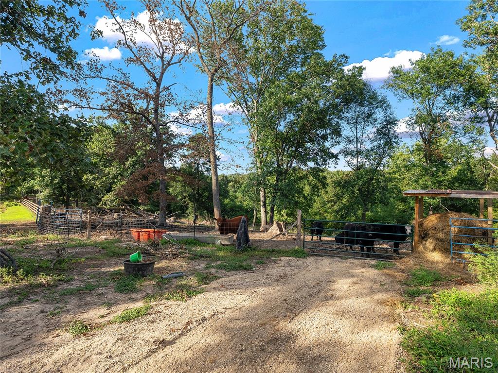 1838 Spring Bluff Road Property Photo 34