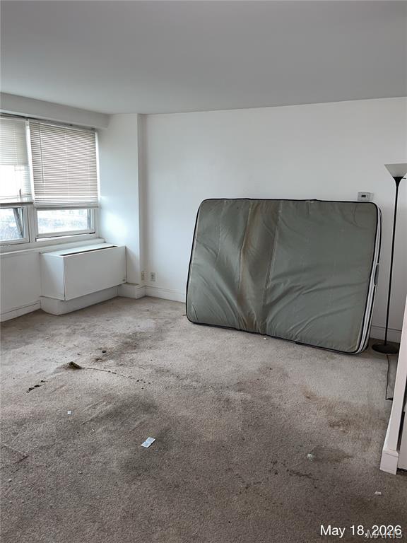 210 N 17th Street 1409 Property Photo 11