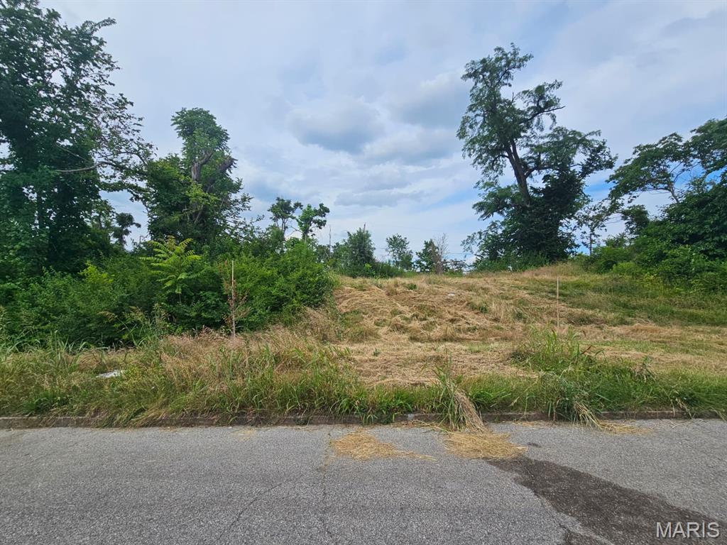 4517 Maffitt Avenue Property Photo 1