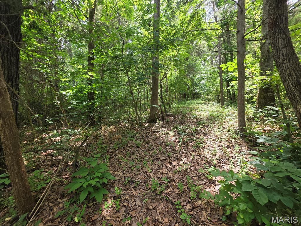 0 S Lake Shore Drive Property Photo 1
