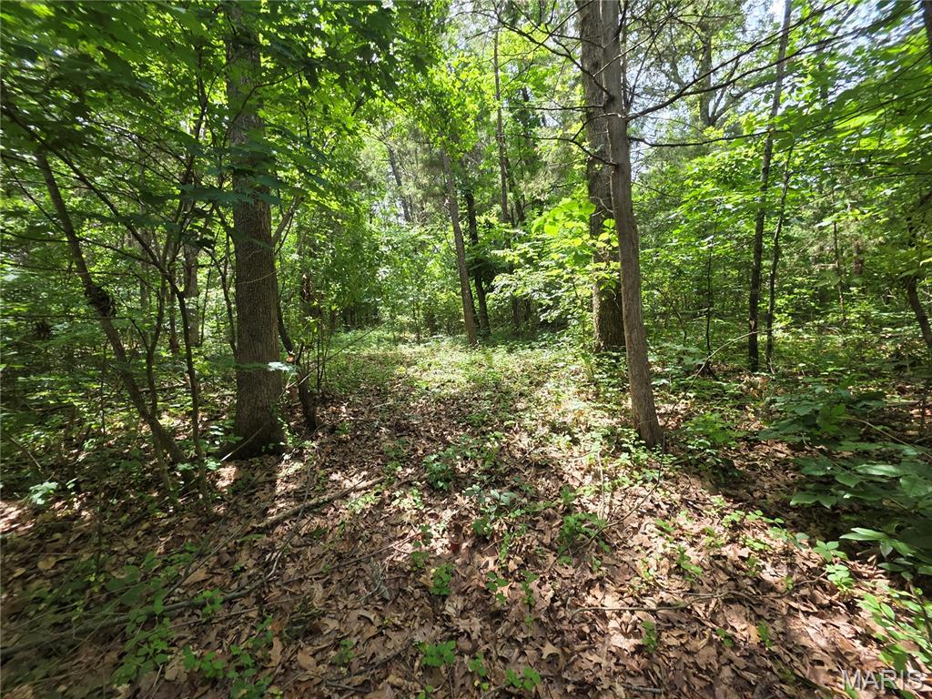 0 S Lake Shore Drive Property Photo 2