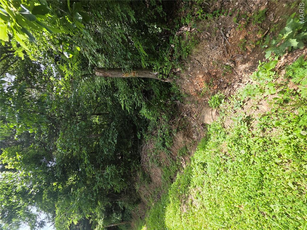 0 S Lake Shore Drive Property Photo 11