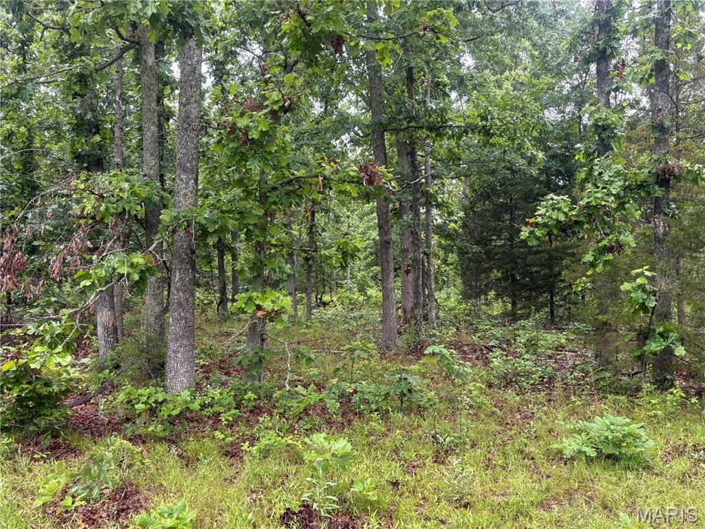 0 Cr 5400 Property Photo 14
