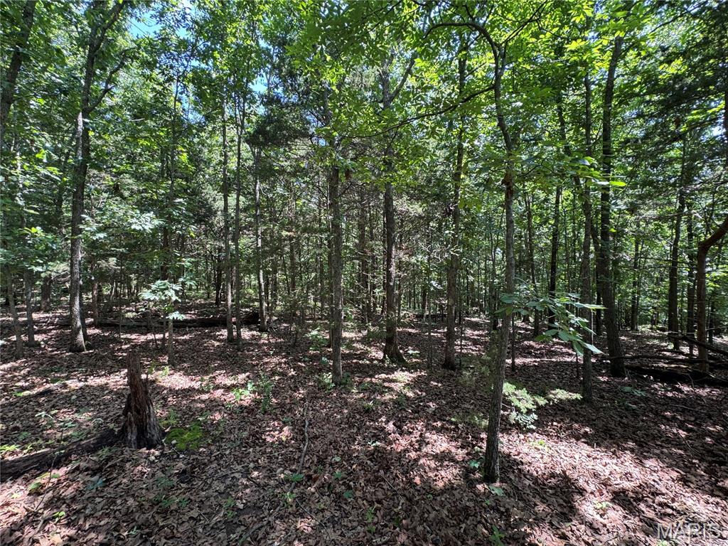 Tbd Hooiser Road Property Photo 3
