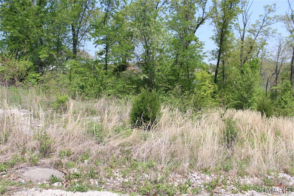 0 Trace Drive Property Photo 3