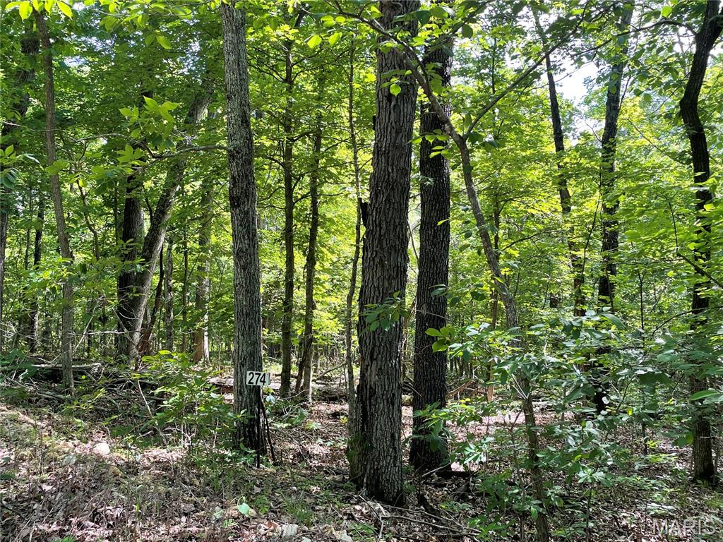 274 Oak Ridge Road Property Photo 3