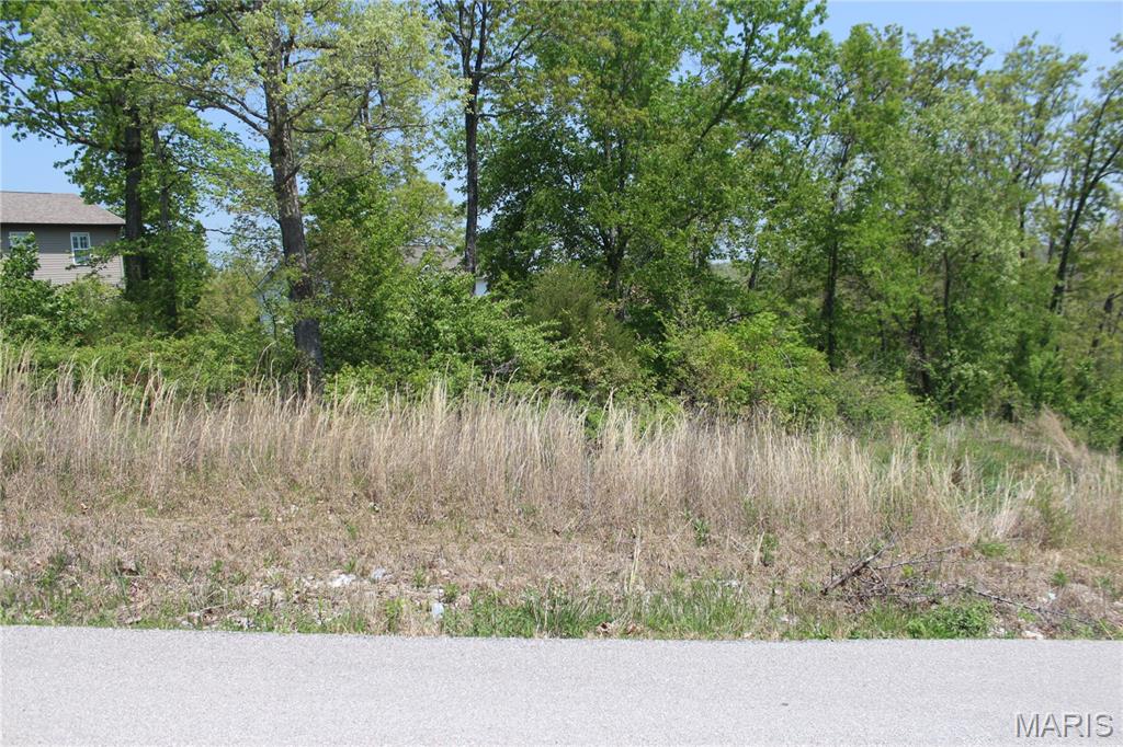 0 Trace Drive Property Photo 2