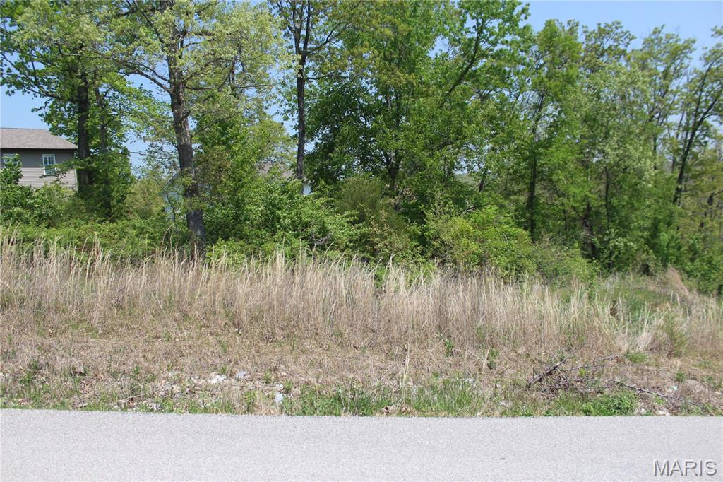 0 Trace Drive Property Photo 3