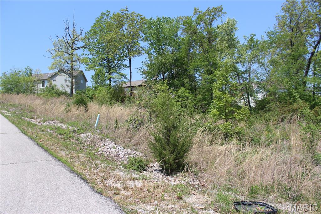 0 Trace Drive Property Photo 4