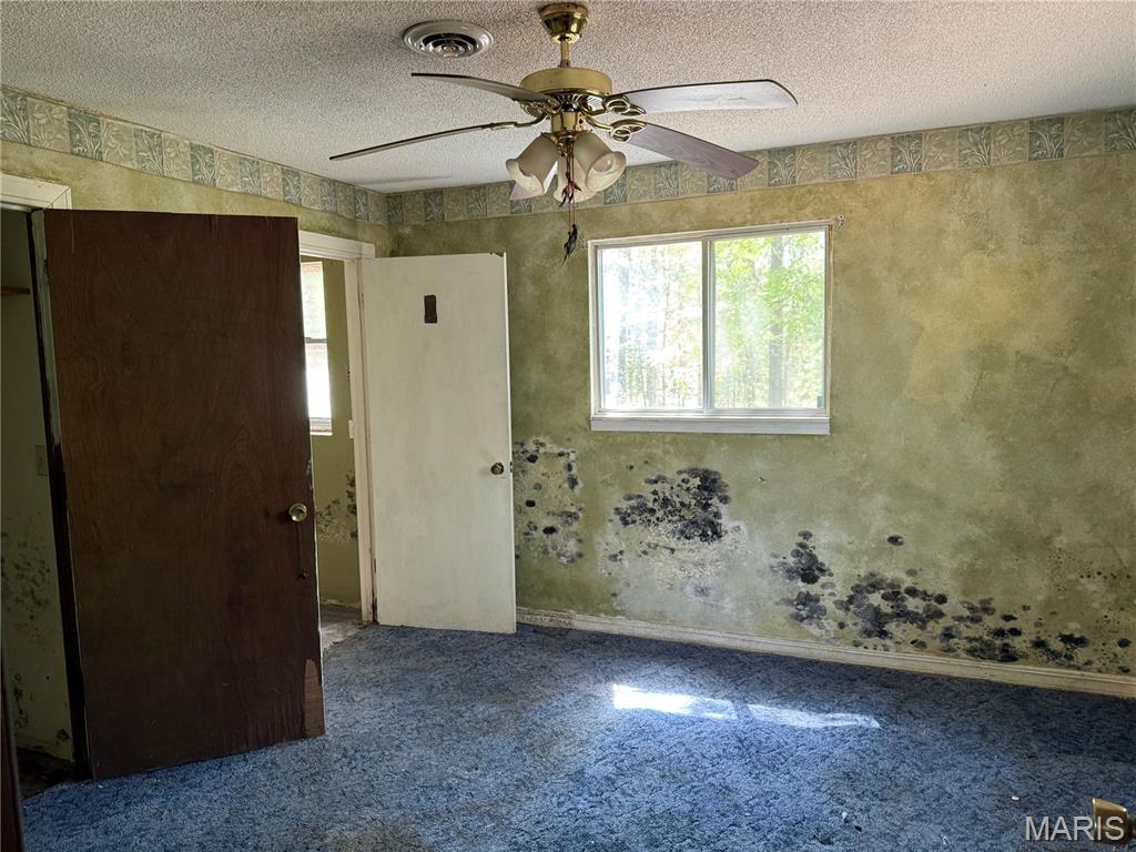 16558 Hwy Bb Property Photo 12