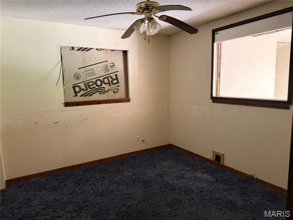 16558 Hwy Bb Property Photo 15