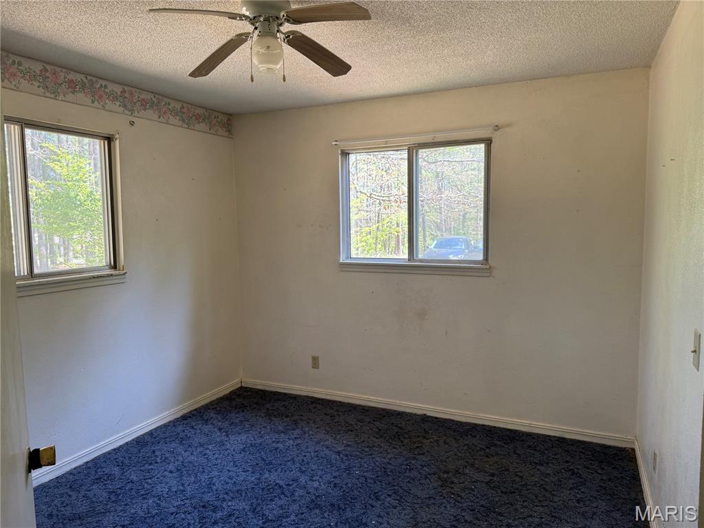 16558 Hwy Bb Property Photo 16