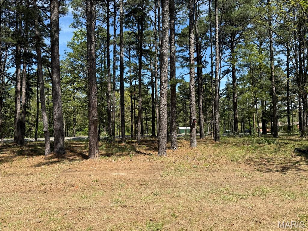 16558 Hwy Bb Property Photo 19