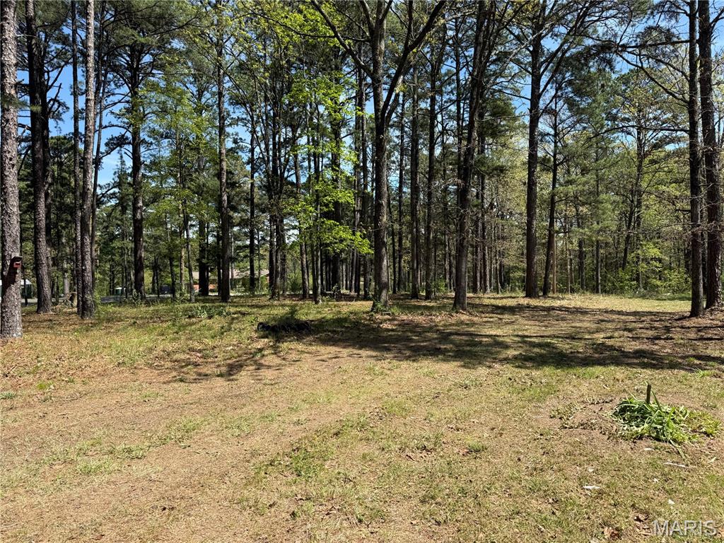 16558 Hwy Bb Property Photo 20