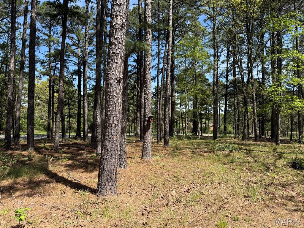 16558 Hwy Bb Property Photo 21