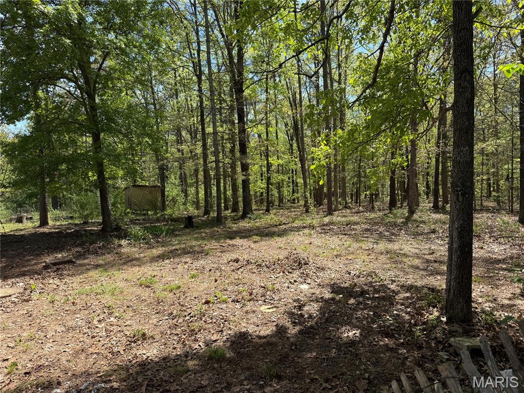 16558 Hwy Bb Property Photo 23