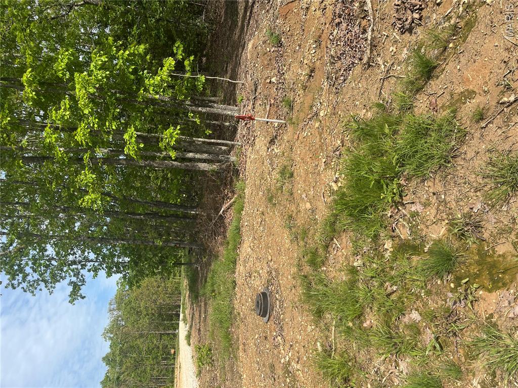 7 Cr 4180 Property Photo 1