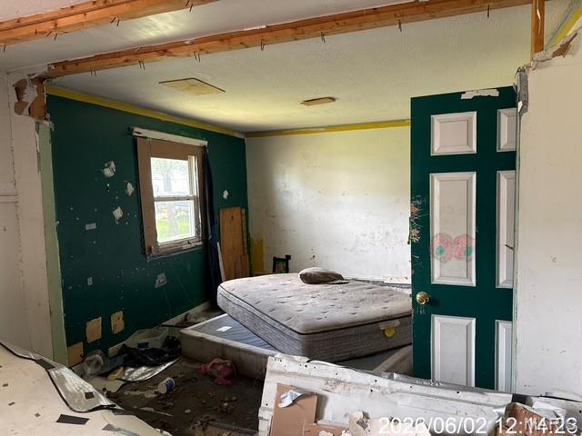 206 Mueller Drive Property Photo 23