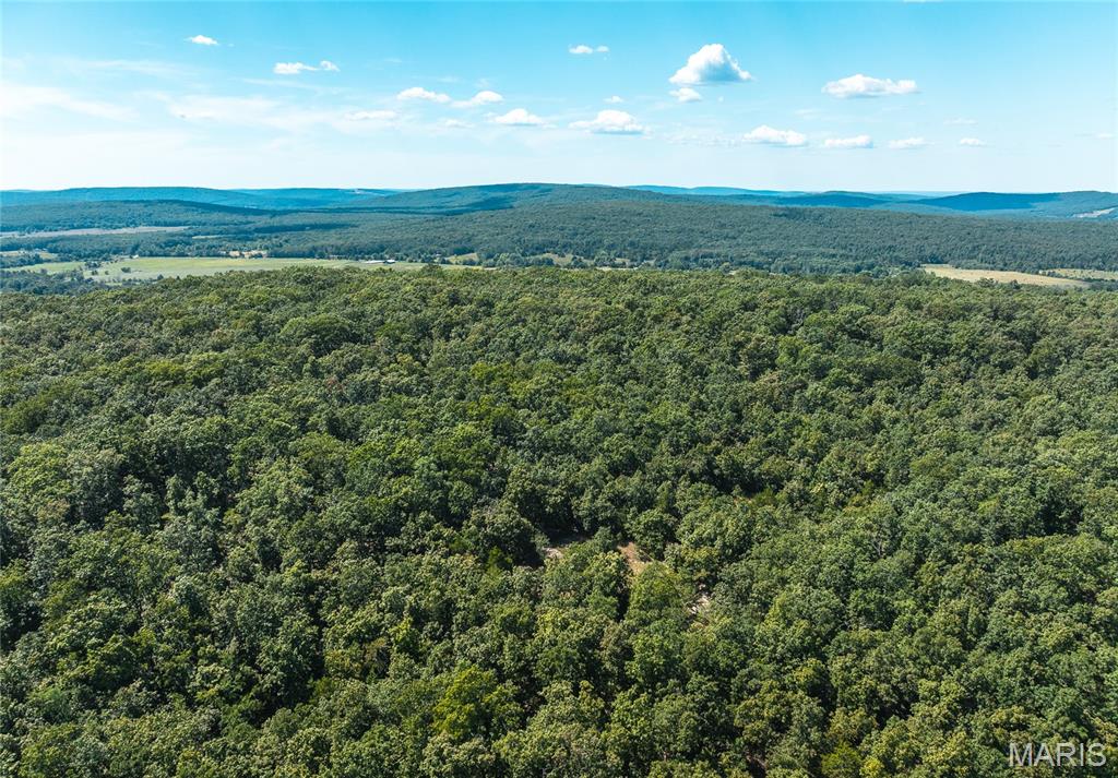 2 Buck Mountain Rd Property Photo 1