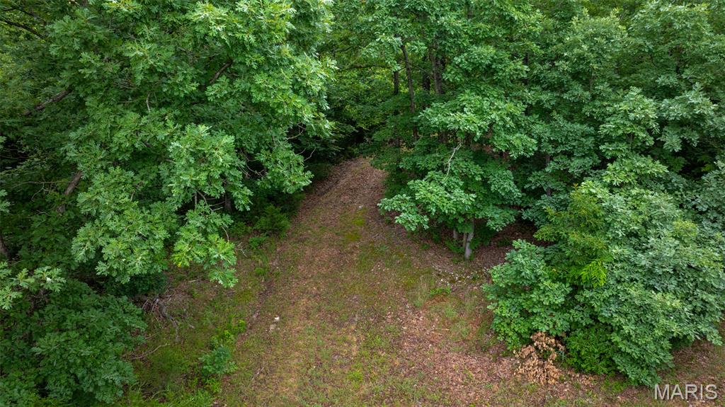 0 Hwy M Property Photo 13