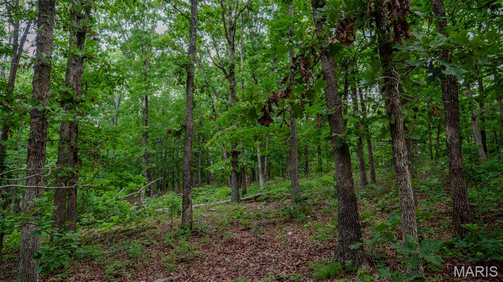 0 Hwy M Property Photo 14