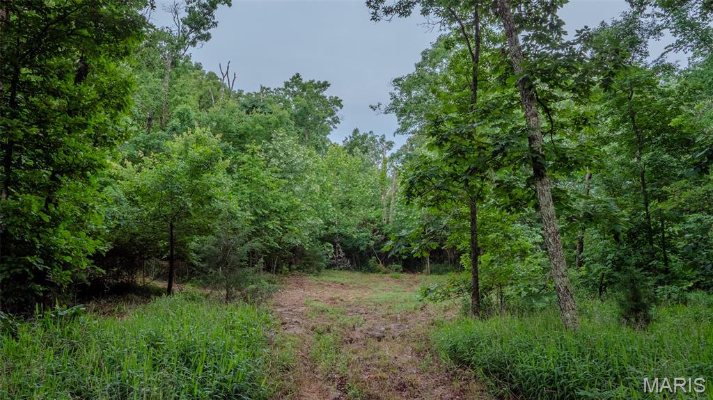 0 Hwy M Property Photo 15