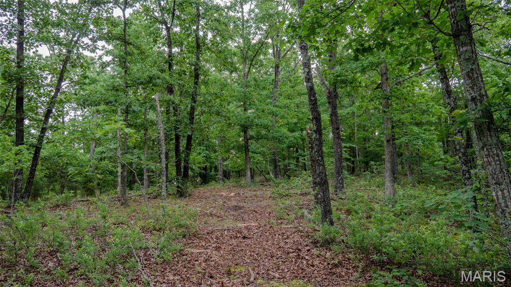 0 Hwy M Property Photo 18