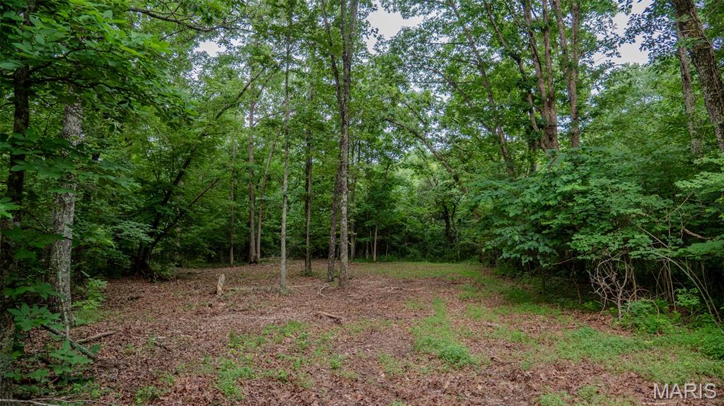 0 Hwy M Property Photo 19