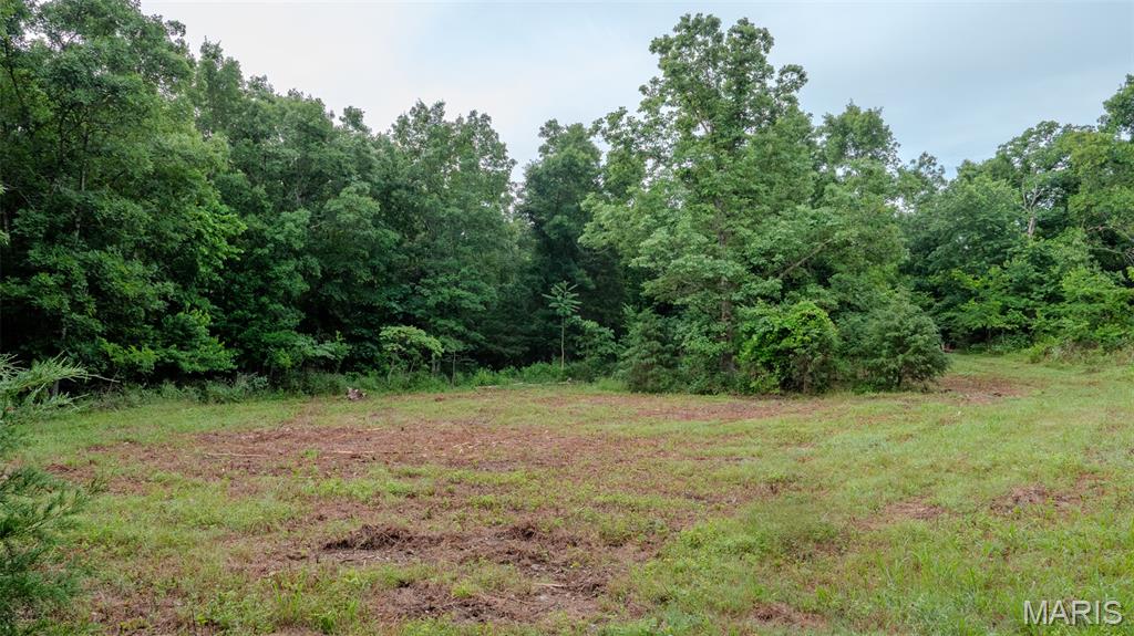 0 Hwy M Property Photo 21
