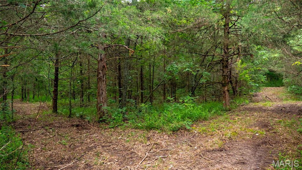 0 Hwy M Property Photo 25