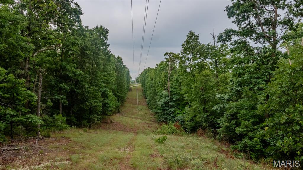 0 Hwy M Property Photo 30
