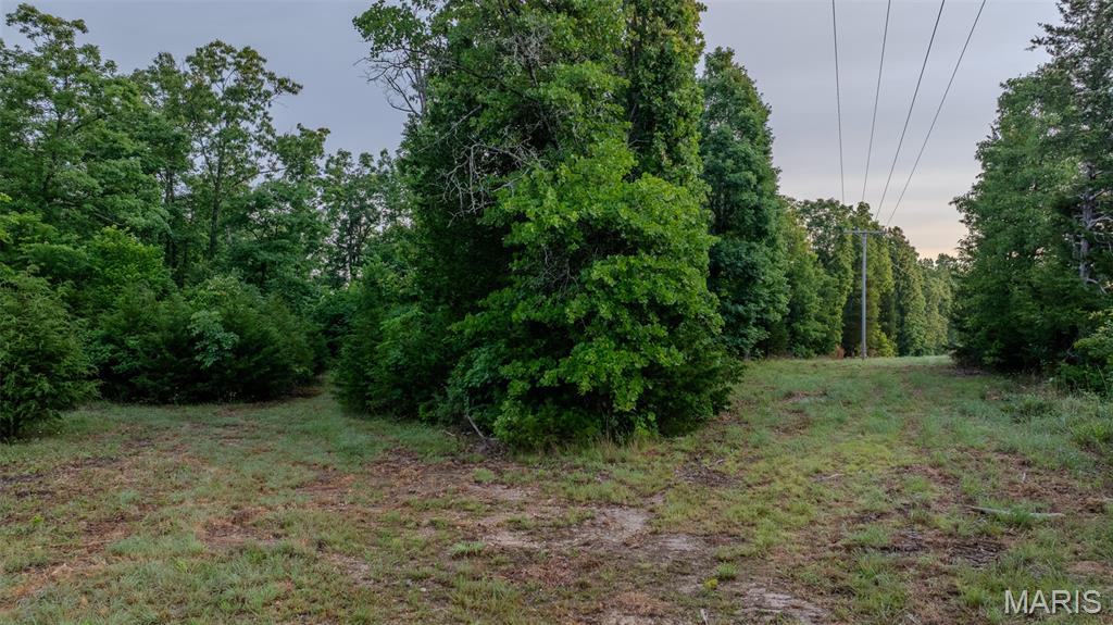 0 Hwy M Property Photo 39