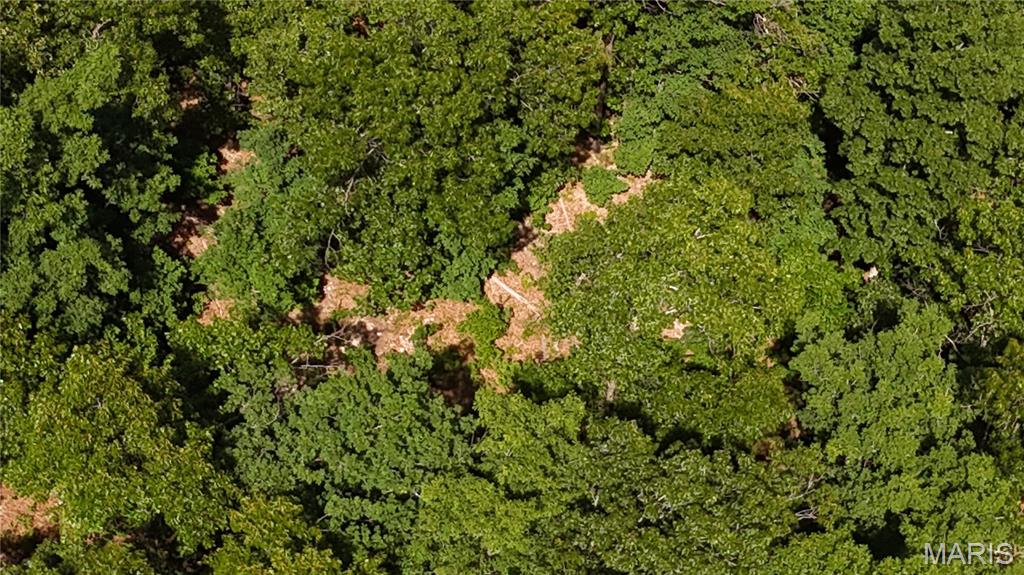 11721 Highway K Property Photo 4