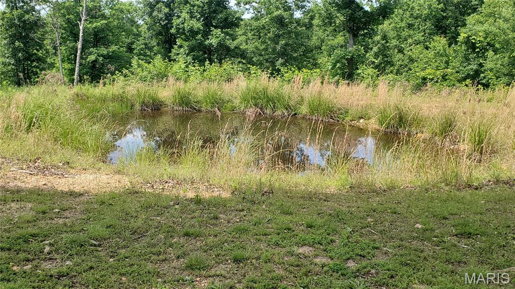 11721 Highway K Property Photo 24