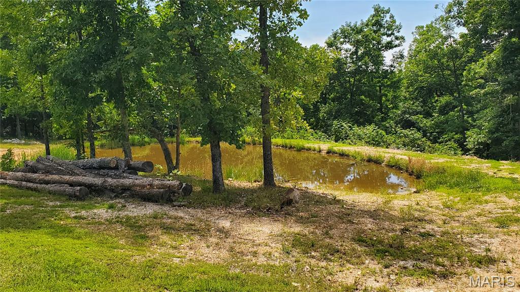 11721 Highway K Property Photo 35