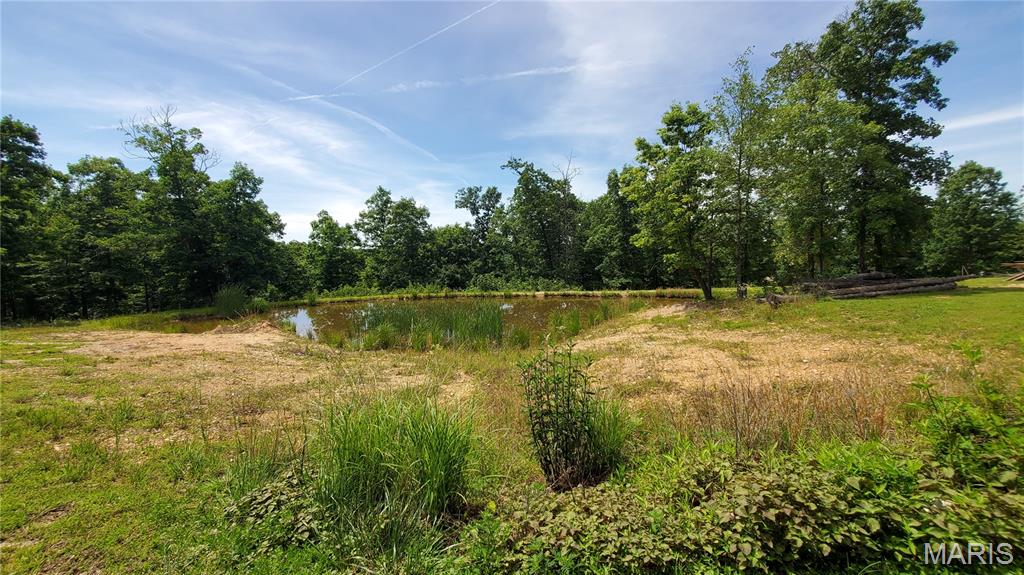11721 Highway K Property Photo 37