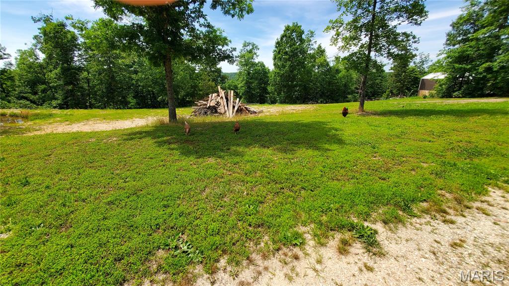 11721 Highway K Property Photo 42