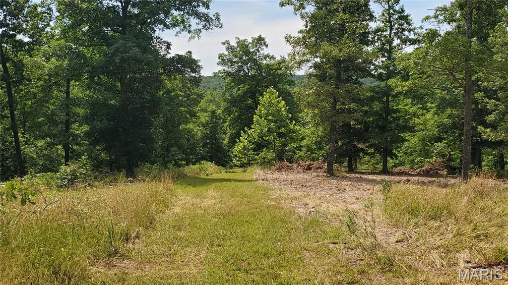 11721 Highway K Property Photo 57