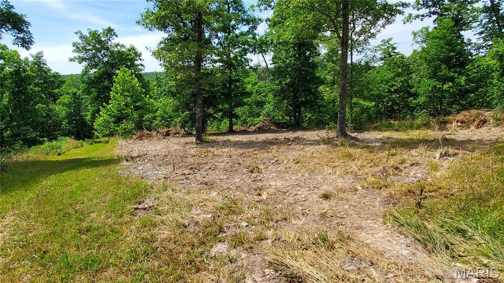 11721 Highway K Property Photo 58