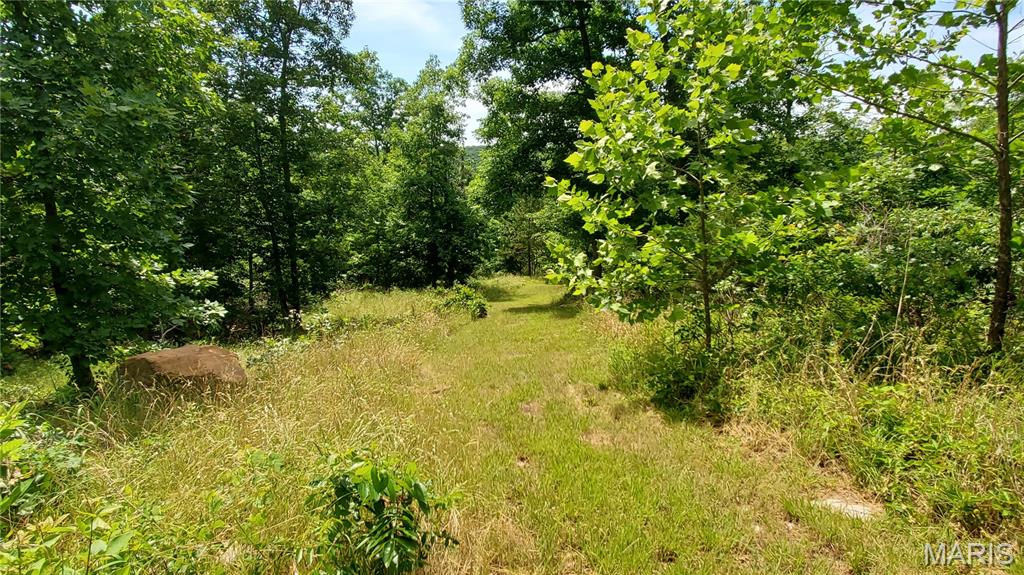 11721 Highway K Property Photo 59