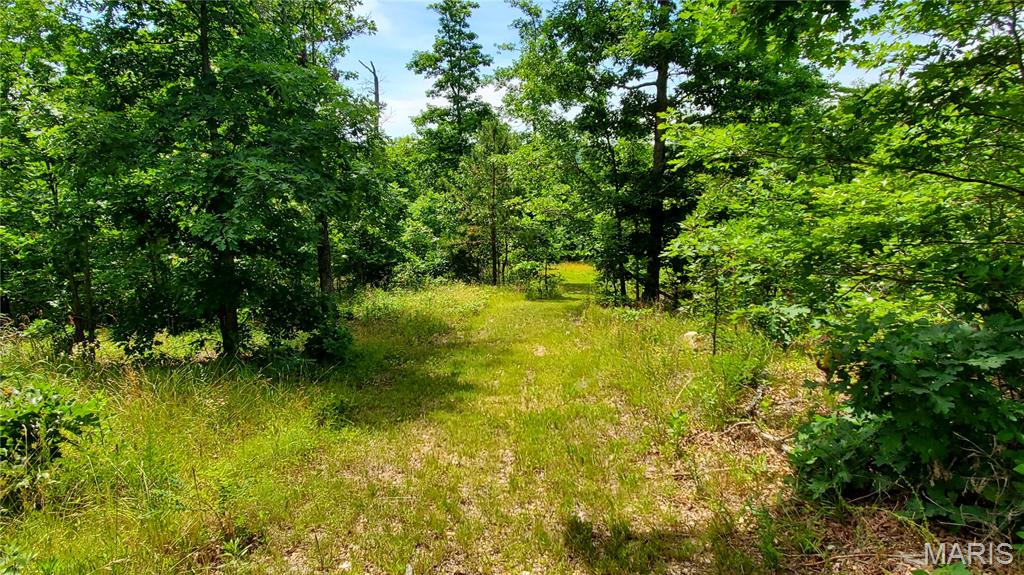 11721 Highway K Property Photo 60