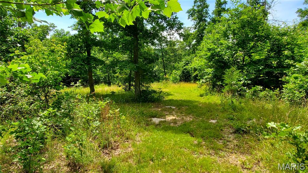 11721 Highway K Property Photo 61
