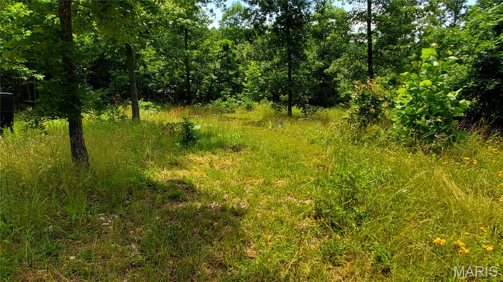 11721 Highway K Property Photo 62