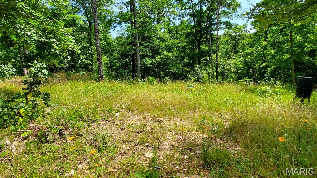 11721 Highway K Property Photo 63