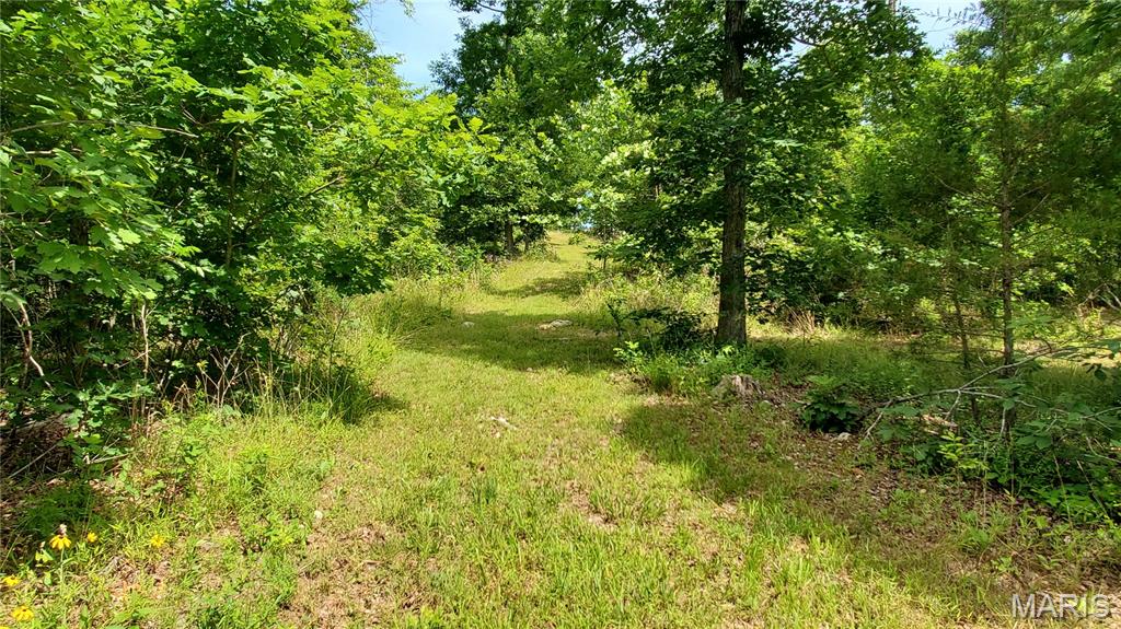 11721 Highway K Property Photo 64