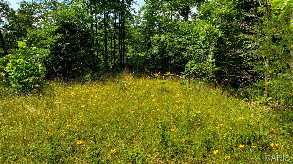 11721 Highway K Property Photo 65