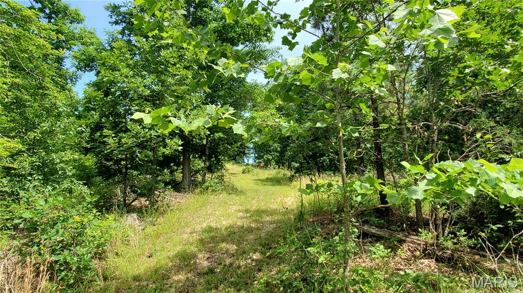 11721 Highway K Property Photo 66