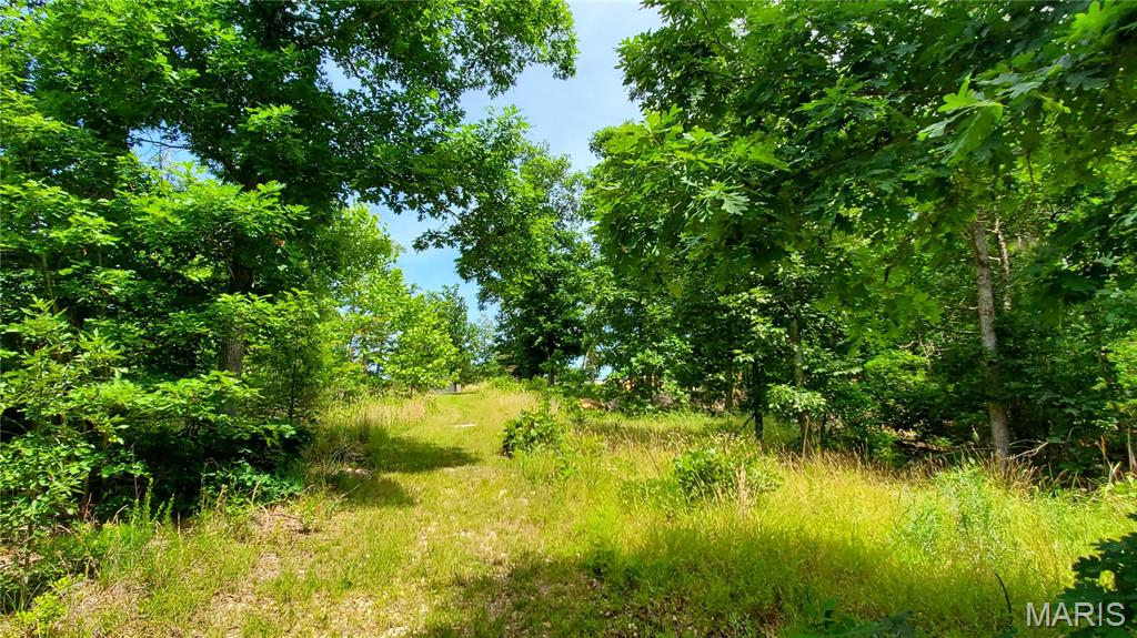11721 Highway K Property Photo 67