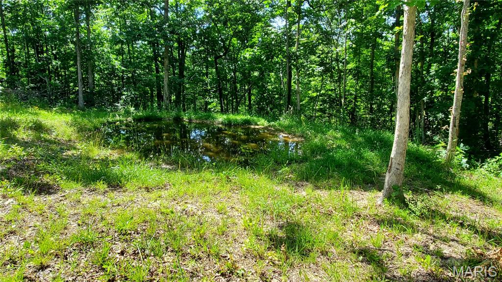 11721 Highway K Property Photo 87